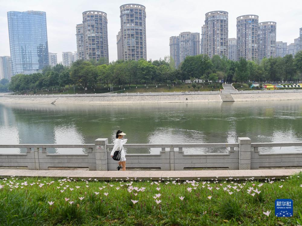 大白菜注册送礼金平台